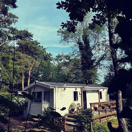 Knus Chalet Midden In De Bossen Nunspeet Bagian luar foto