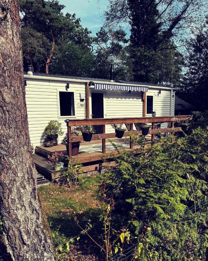 Knus Chalet Midden In De Bossen Nunspeet Bagian luar foto