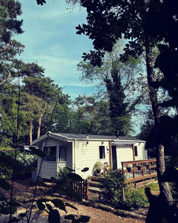 Knus Chalet Midden In De Bossen Nunspeet Bagian luar foto