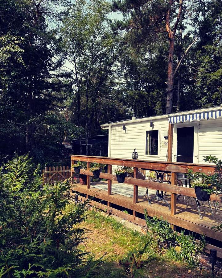 Knus Chalet Midden In De Bossen Nunspeet Bagian luar foto